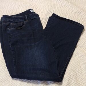 Lane Bryant Stretchy Blue Jeans -Dark Wash